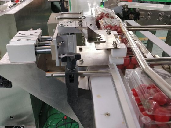 全自动樱桃番茄蓝莓称重灌装生产线蛤壳桶包装机