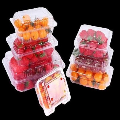 全自动樱桃番茄蓝莓称重灌装生产线蛤壳桶包装机