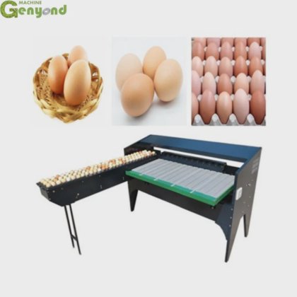 Automatic Egg Grading Machine Poultry
