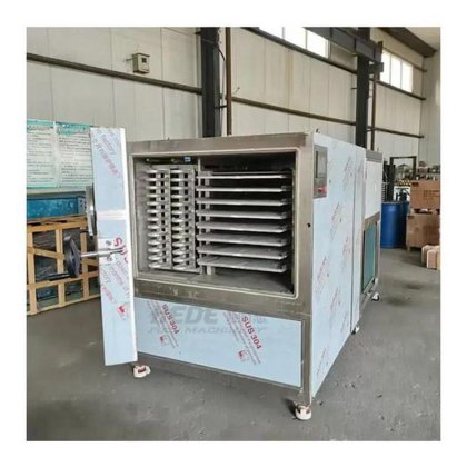 工业冷冻干燥机 食品脱水机 冻干水果