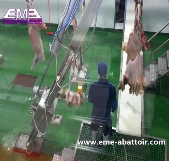 用于屠宰场的高效羔羊绵羊屠宰设备剥皮机 山羊加工屠宰设备