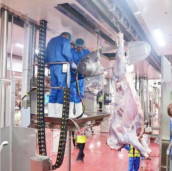 用于屠宰场屠宰车间的优质牛屠宰设备
