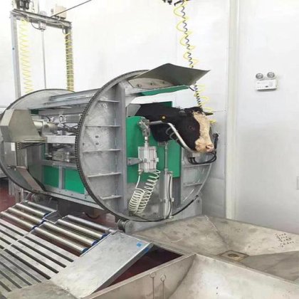 穆斯林牛屠宰场 清真屠宰箱 奶牛屠宰机 肉类加工 屠宰场设备