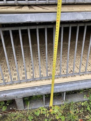 鹳活火鸡运输模块