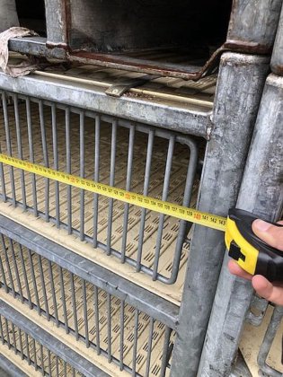 鹳活火鸡运输模块