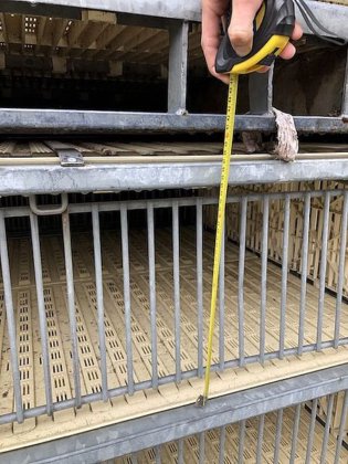 鹳活火鸡运输模块