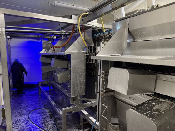 完整的 Linco 自动化家禽加工厂