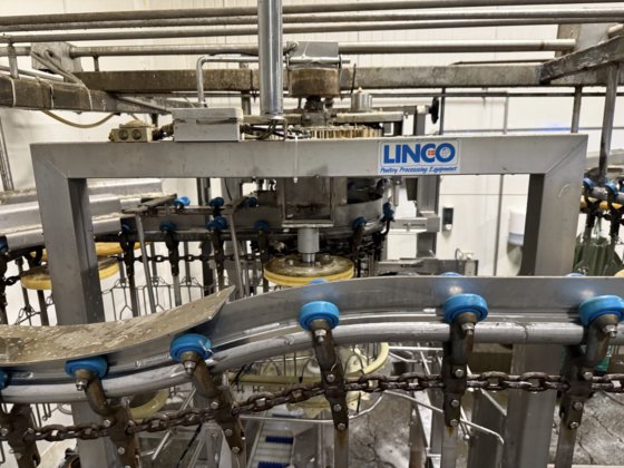 完整的 Linco 自动化家禽加工厂