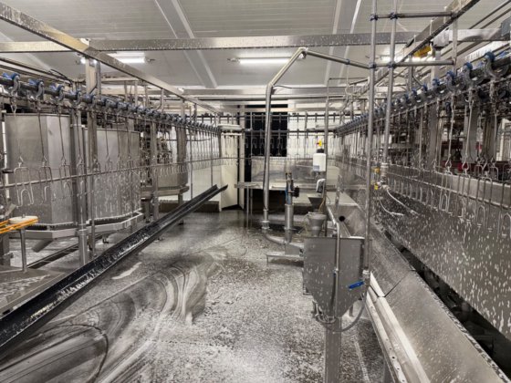 完整的 Linco 自动化家禽加工厂