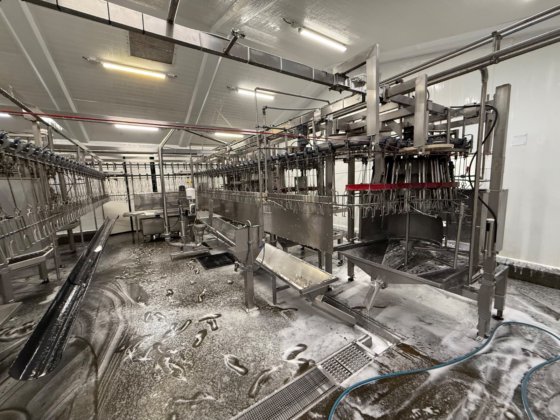 完整的 Linco 自动化家禽加工厂