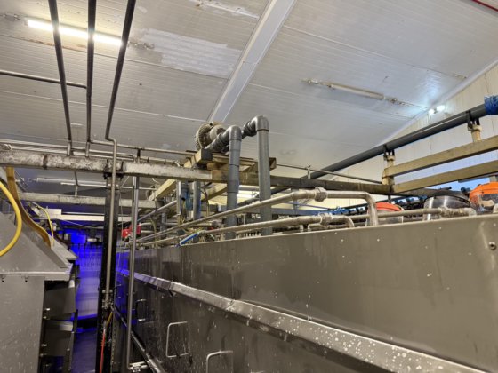 完整的 Linco 自动化家禽加工厂