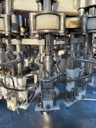 Linco 1000 至 3000 只/小时去内脏生产线