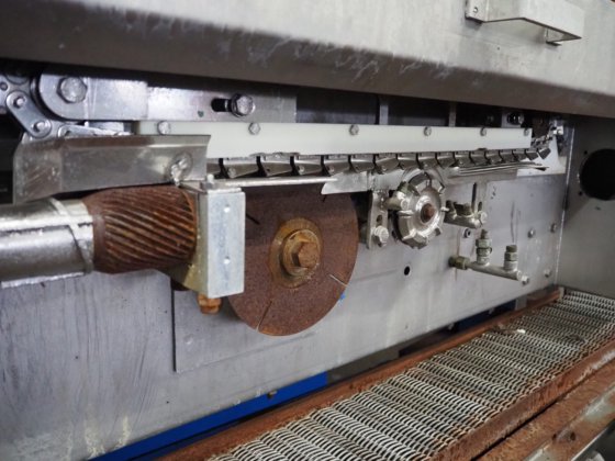 用于家禽加工的 Meyn 鸡胗/肠子采集机