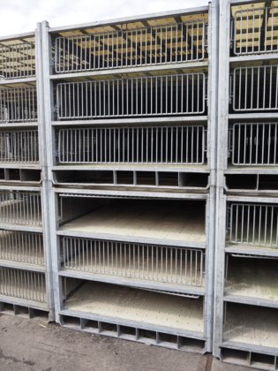 活火鸡运输模块