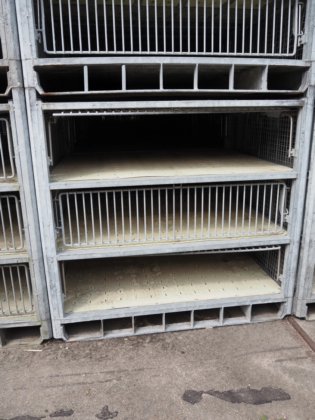 活火鸡运输模块