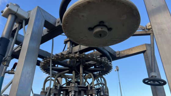 LINCO 禽类处理线剔毛/去内脏线