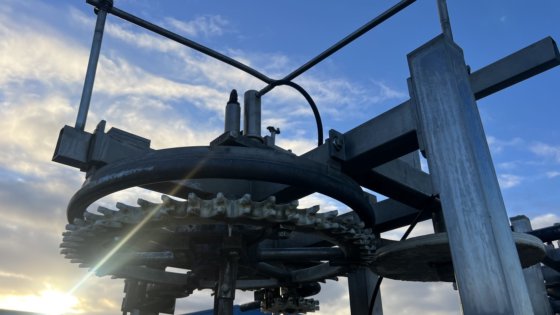 LINCO 禽类处理线剔毛/去内脏线