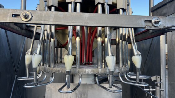 LINCO 禽类处理线剔毛/去内脏线