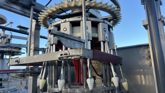 LINCO 禽类处理线剔毛/去内脏线