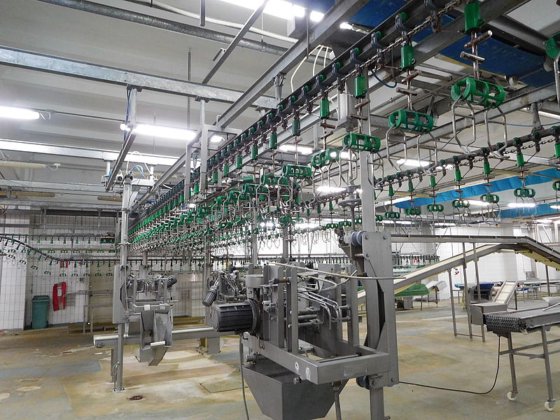 Meyn 完整切割线