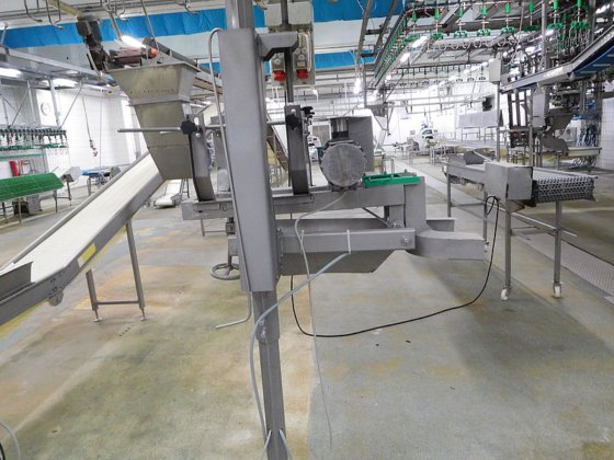 Meyn 完整切割线