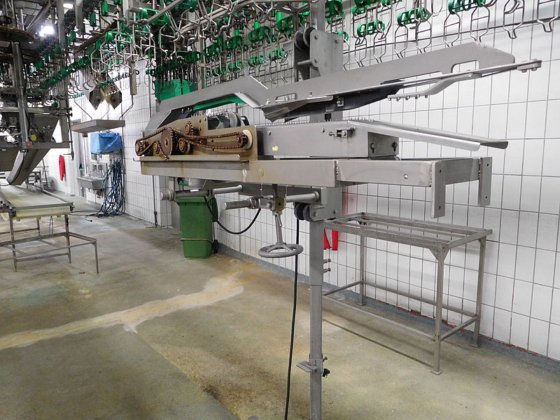 Meyn 完整切割线