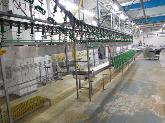 Meyn 完整切割线