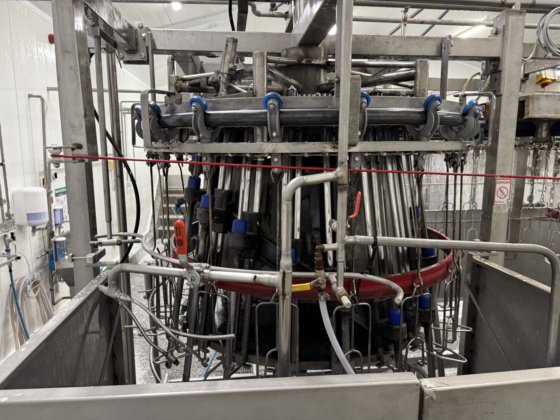 全自动 LINCO 去内脏生产线，用于家禽加工