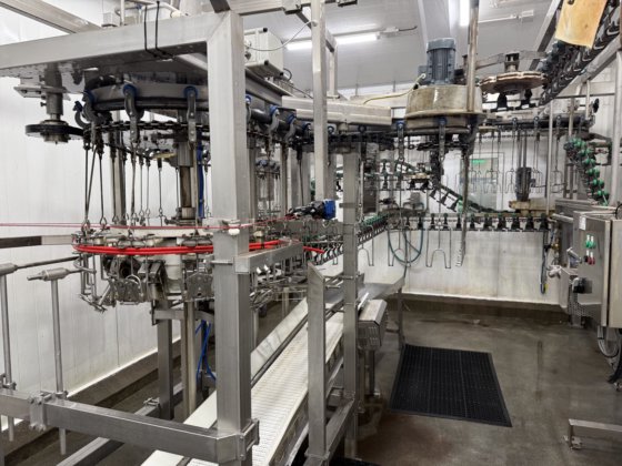 全自动 LINCO 去内脏生产线，用于家禽加工