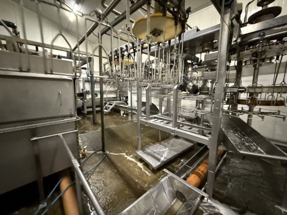 全自动 LINCO 去内脏生产线，用于家禽加工