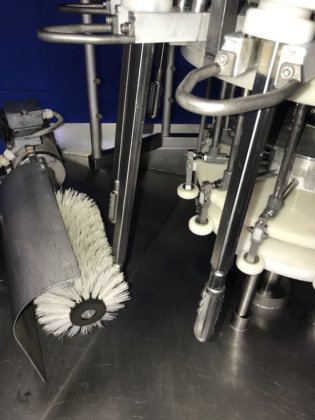 Systemate Cropper 8英寸用于去内脏生产线