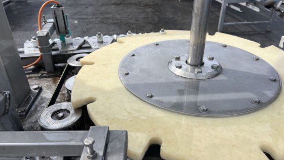 梅恩·雷汉格 (Meyn Rehanger) 冷静地称重