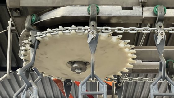 禽类加工用顶装称重线