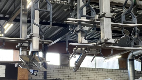 禽类加工用顶装称重线