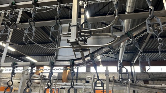 禽类加工用顶装称重线