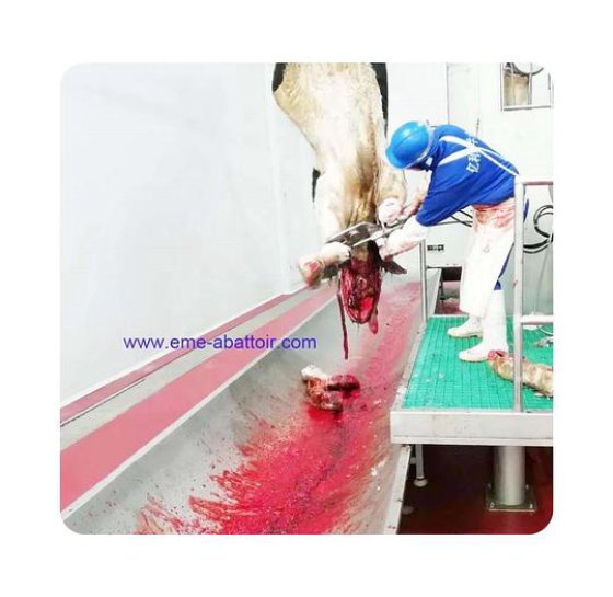 用于牛屠宰场的牛肉屠宰线牛屠宰机