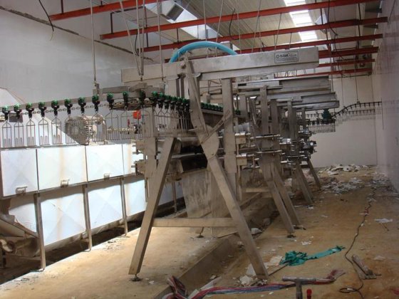 质优价廉的立式家禽胴体剔除机 家禽屠宰机 家禽屠宰场设备