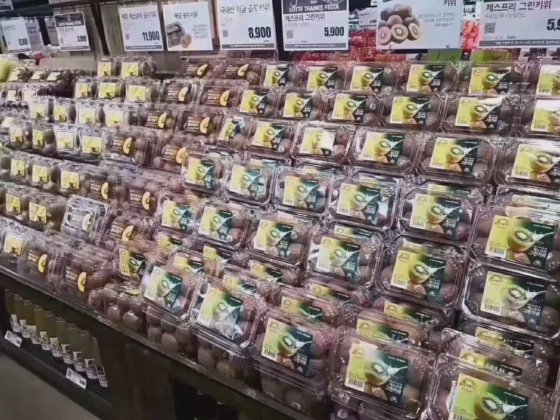 双螺杆干燥机无通风 PET 片材挤出生产线