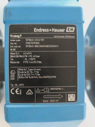ENDRESS+HAUSER PROMAG P300