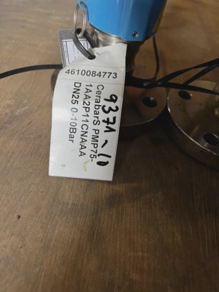 ENDRESS+HAUSER CERABAR S