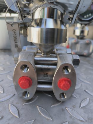 ENDRESS+HAUSER DELTABAR-S