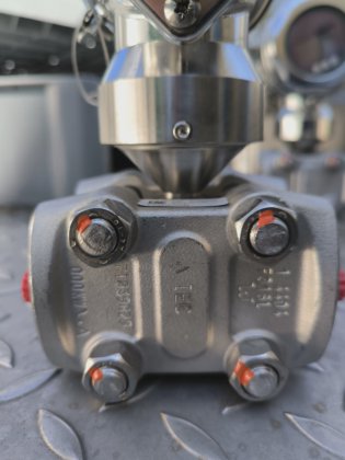 ENDRESS+HAUSER DELTABAR-S