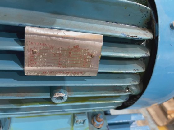 2006 PEDRO GIL RNT-30.30 B5