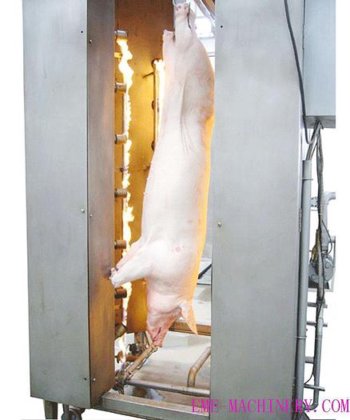 用于屠宰场的猪用单层炉