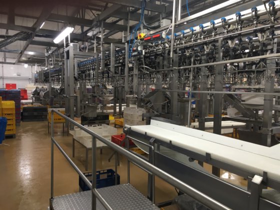 LINCO Proflex chicken cut up line in Poland