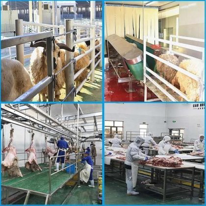 肉类加工机械 山羊屠宰设备 屠宰场设备设计 羊肉屠宰线的绵羊剥皮机