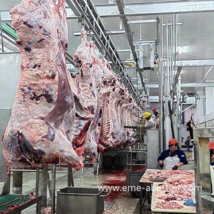 牛屠宰机 牛肠清洗机 无需安装单独设备，使用方便