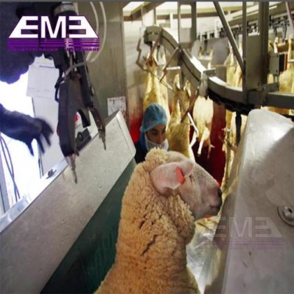 工厂价屠宰线设备肉羊屠宰场绵羊V型约束输送机