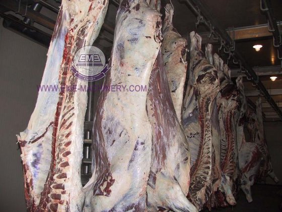 耐用的牛屠宰场设备 用于屠宰场肉类加工的牛肉屠宰牛屠宰机