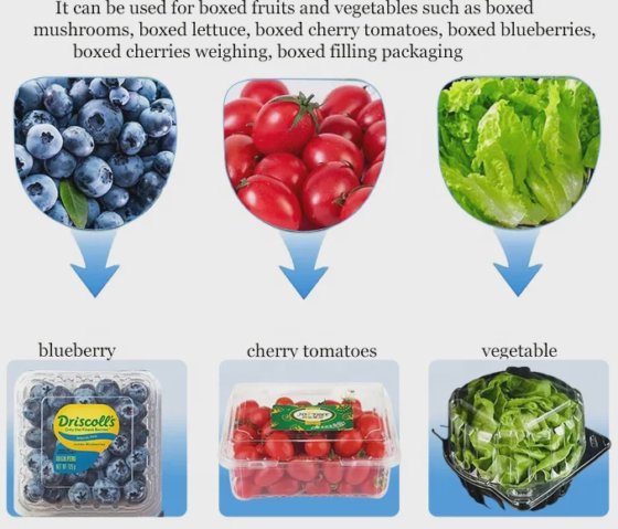 新鲜冷冻蔬菜水果称重包装，用于樱桃蓝莓的桶装盒包装机
